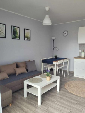 Apartament Wałowa 4, Wejherowo